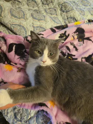 Steve