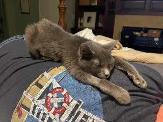 Gina
