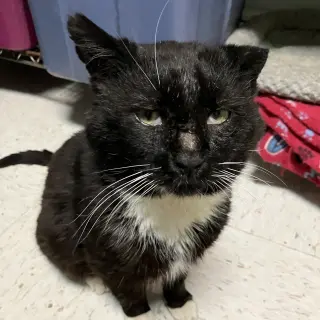 Jackson