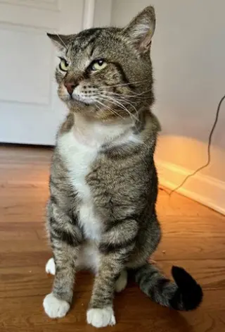 LARRY - Just Wants to be LOVED!