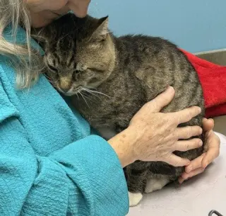 LARRY - Just Wants to be LOVED!
