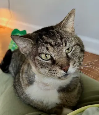 LARRY - Just Wants to be LOVED!