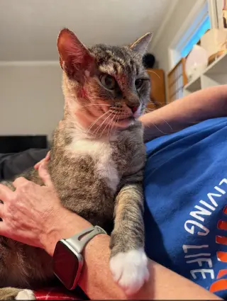 LARRY - Just Wants to be LOVED!