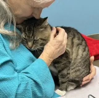 LARRY - Just Wants to be LOVED!