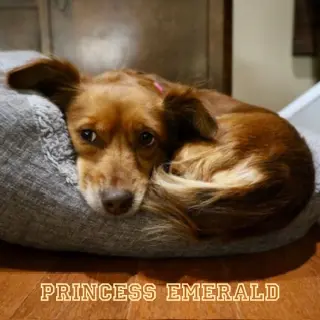 Princess Emerald
