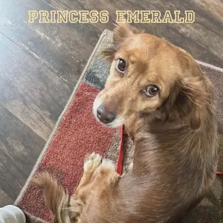 Princess Emerald