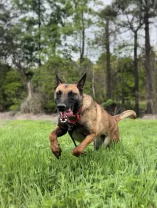Priscilla - Located in Georgia