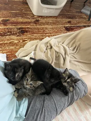Qayla (and Quynn)