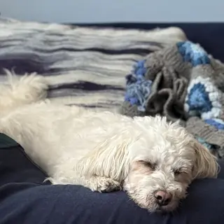 BONNIE
