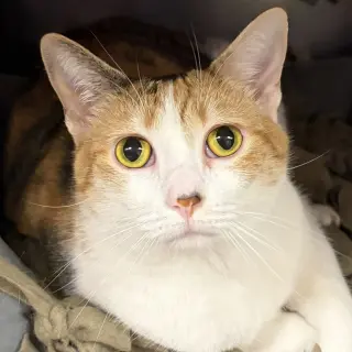 Margo