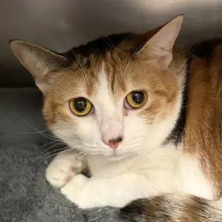 Margo