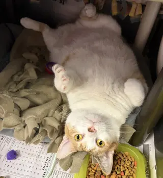 Margo