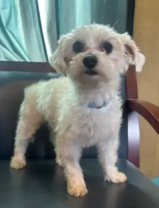 Snickers Mar 26