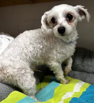 Snickers Mar 26