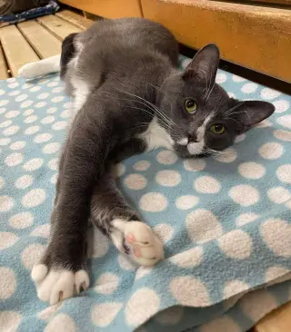 SEBASTIAN