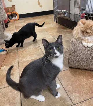 SEBASTIAN