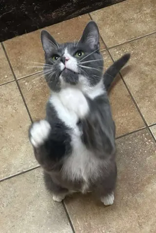 SEBASTIAN