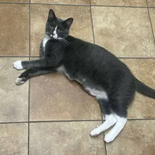 SEBASTIAN