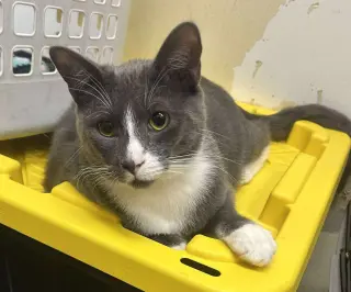 SEBASTIAN