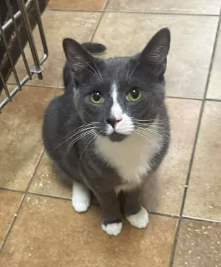 SEBASTIAN