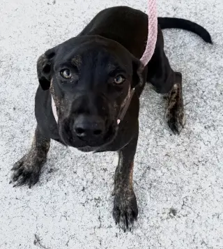 Saoirse Doglando Graduate FH