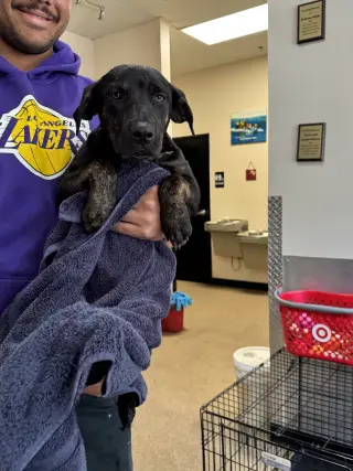 Saoirse Doglando Graduate FH