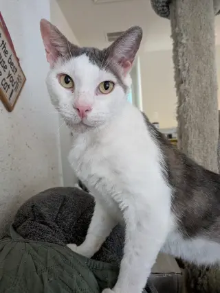Handsome