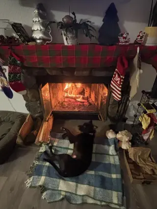 Sleepy