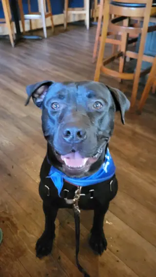 Percy