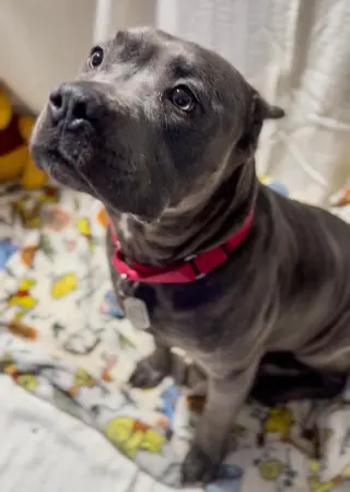 Winnie