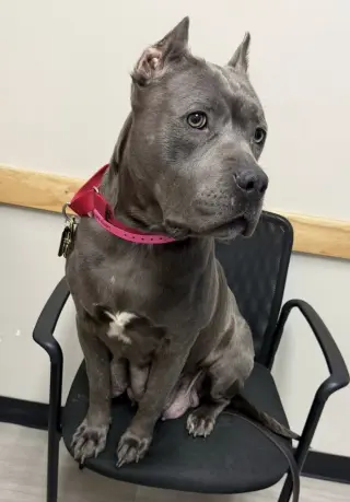 Winnie