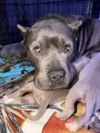 Winnie