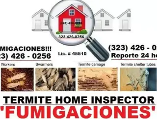 Fumigaciones Termitas Vikane.