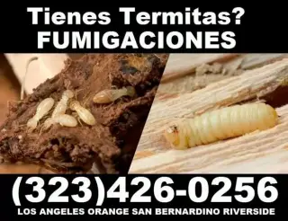 Fumigaciones Termitas Vikane.