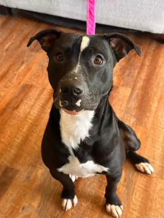 Oliver - your best pal