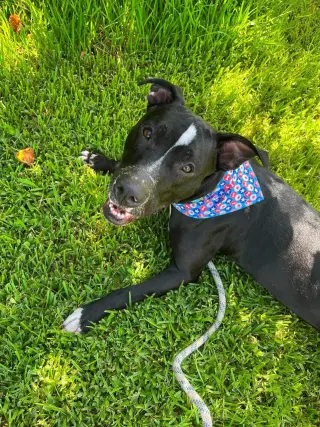 Oliver - your best pal