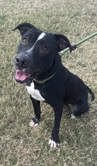 Oliver - your best pal