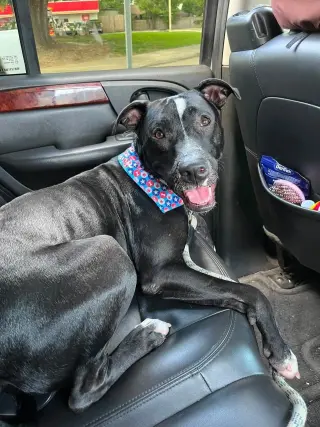 Oliver - your best pal