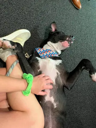 Oliver - your best pal