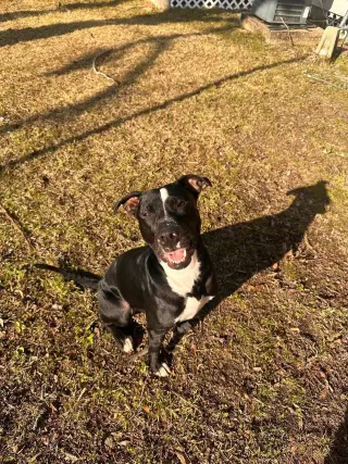 Oliver - your best pal