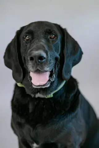 Benni