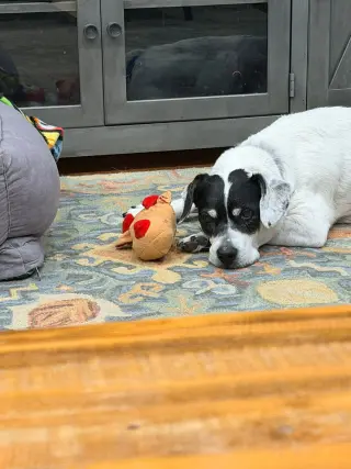 Bunny Athens