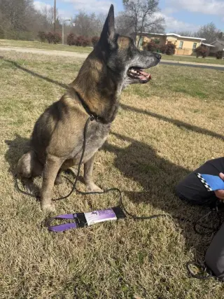 Clyde- Located in Oklahoma