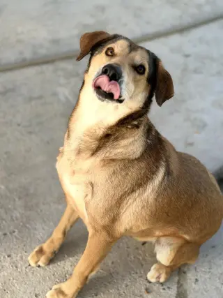 MOODONNA