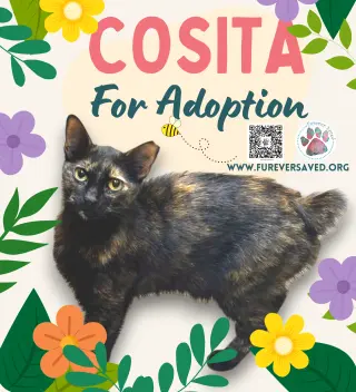 Cosita