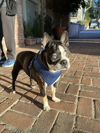 Molly