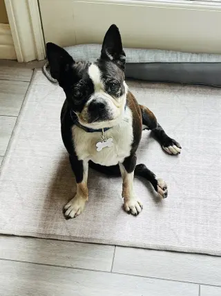 Molly