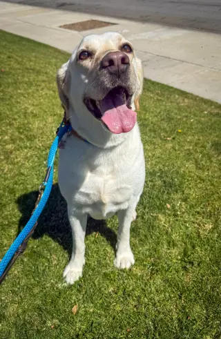 Luna