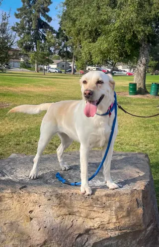 Luna