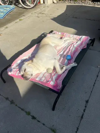 Luna